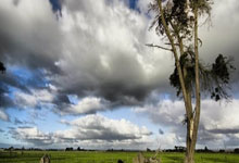 问鼎娱乐官网：罗体：罗马主席为迪巴拉发起专家会诊，手术可能性较低但尚未排除.