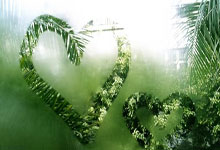 海港旧将巴尔加斯双响助哈萨征服取胜，加盟后11场2球3助.