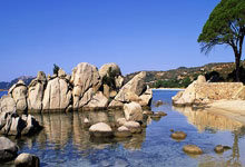 香港国际七人橄榄球赛：中国女队两连败.